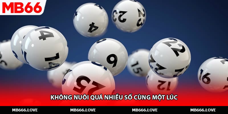 Không nuôi quá nhiều số cùng một lúc