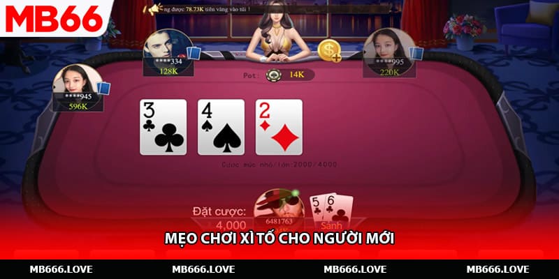 Mẹo chơi xì tố cho người mới